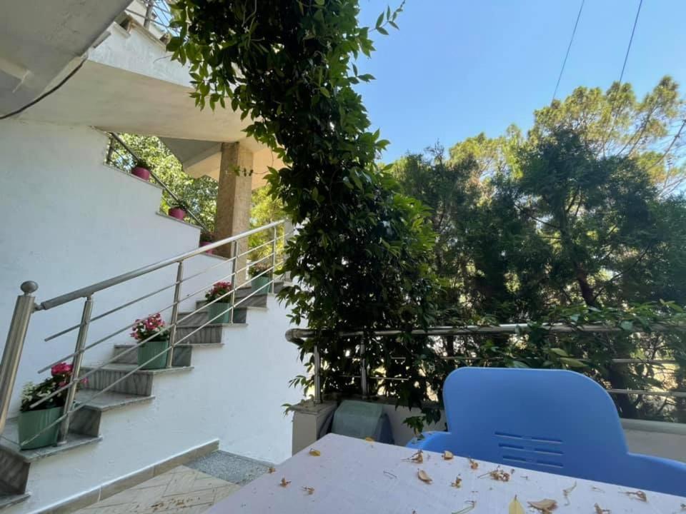 Velipojë Aparthotel Vila Tufi מראה חיצוני תמונה