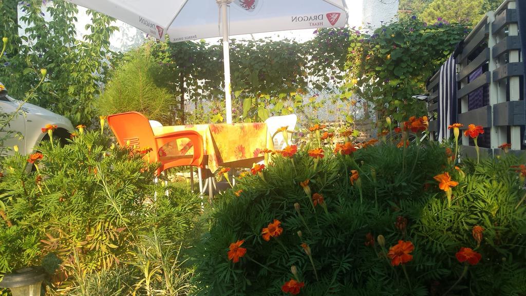 Velipojë Aparthotel Vila Tufi חדר תמונה